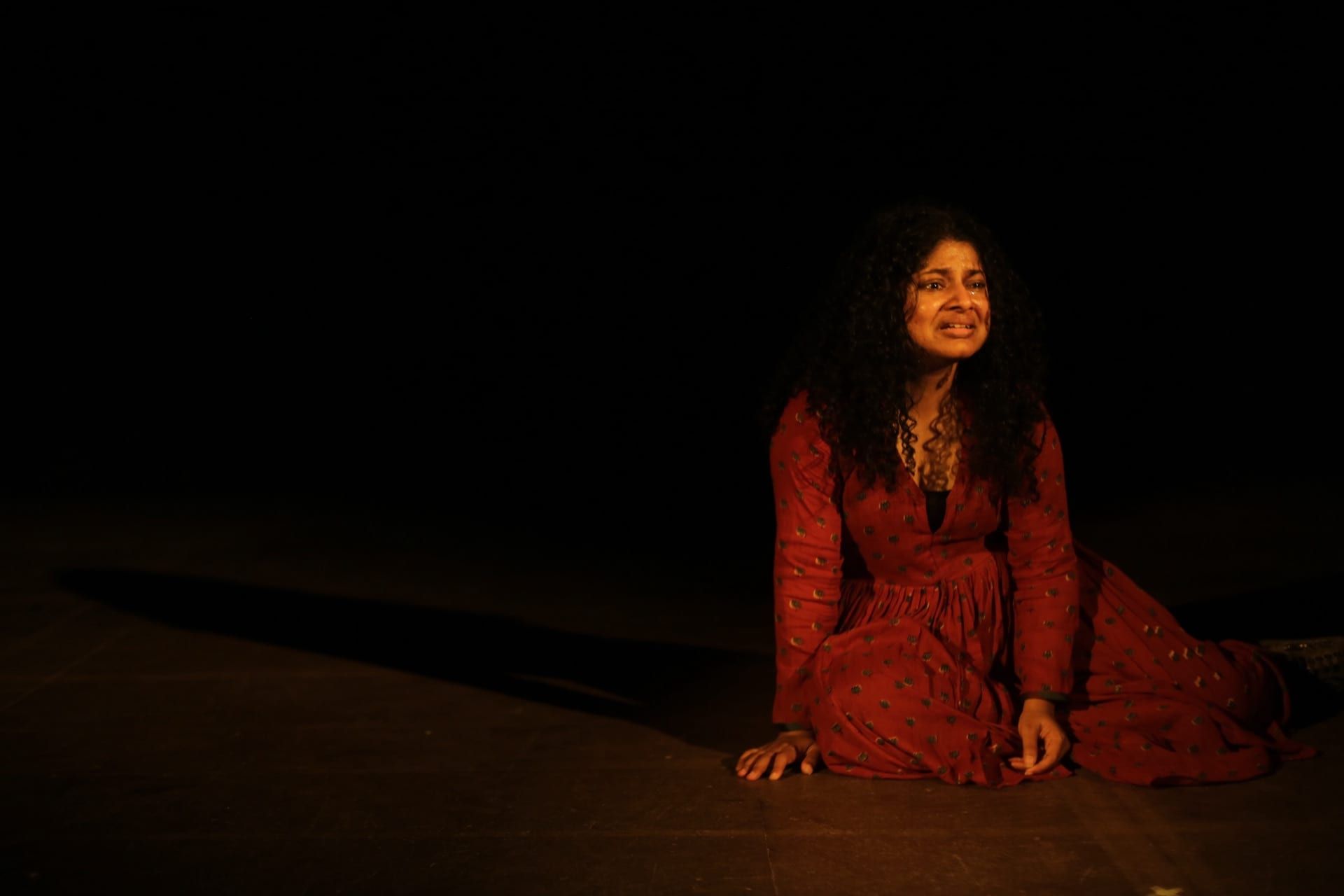 Dr. Anandibai gallery image 6
