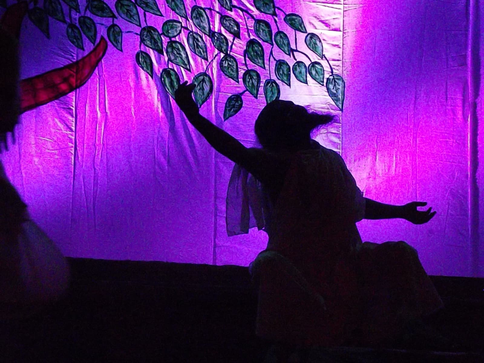 Apoorav Khela gallery image 2