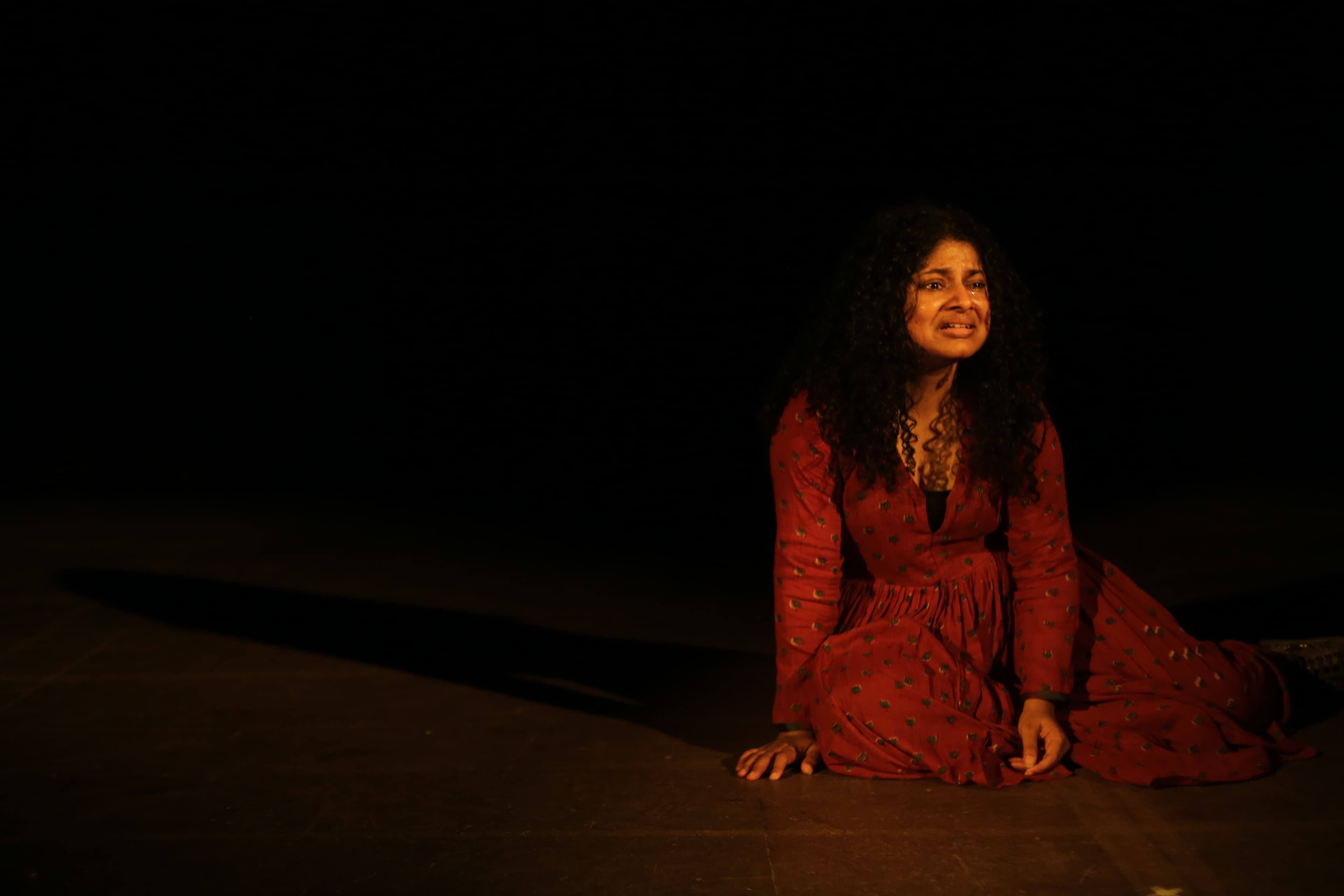 Dr. Anandibai gallery image 6